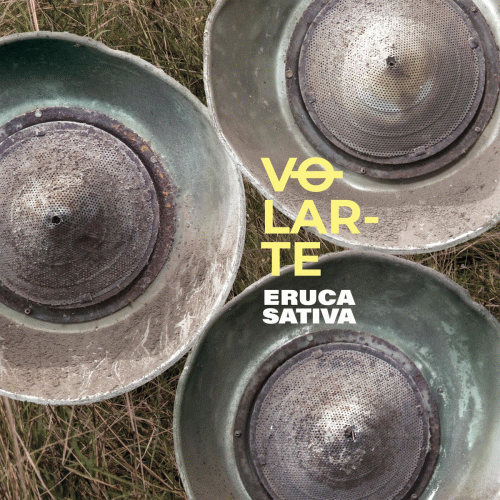 Eruca Sativa : Volarte